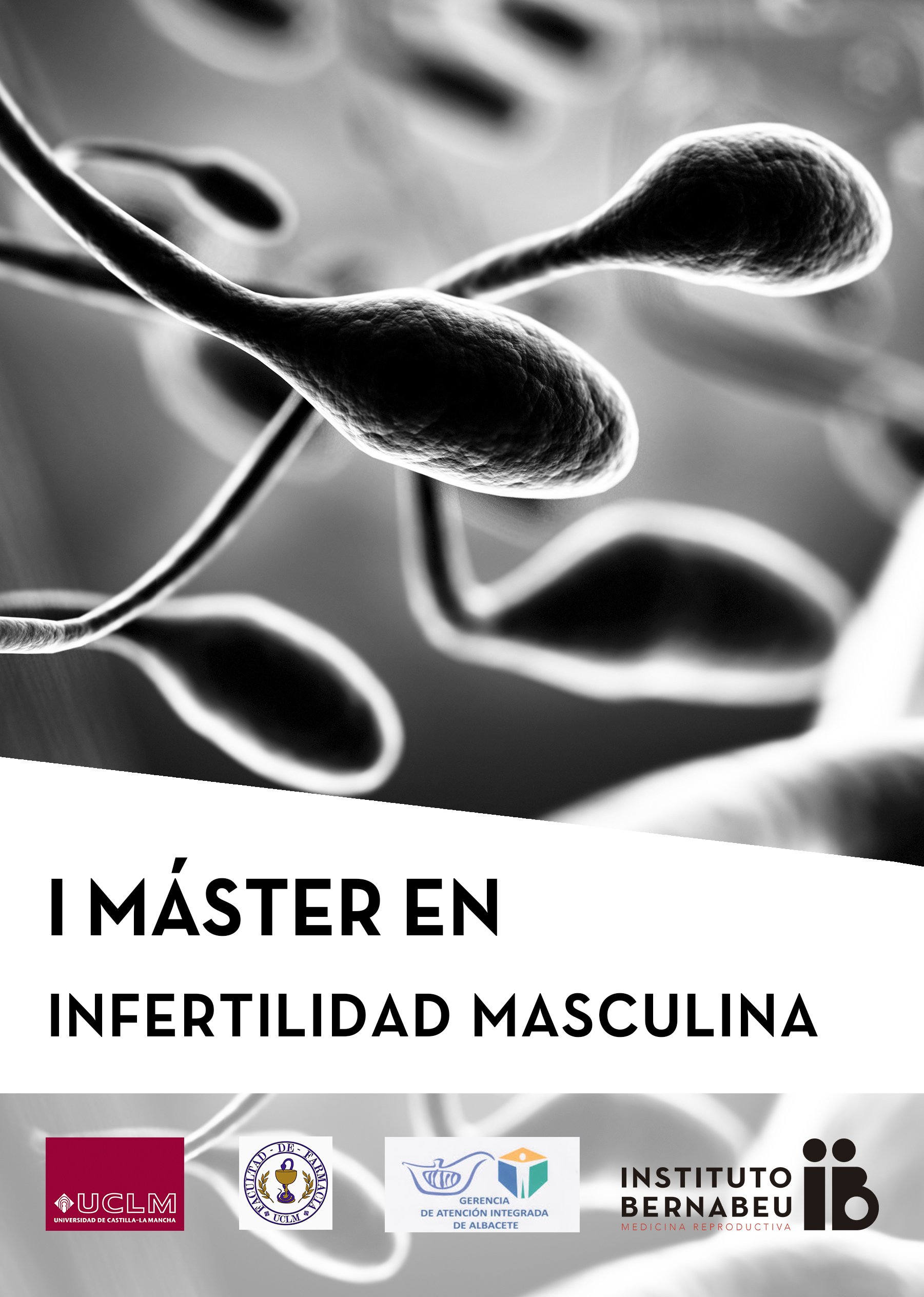 I Máster en infertilidad masculina Universidad de Castilla-La Mancha - Instituto Bernabeu